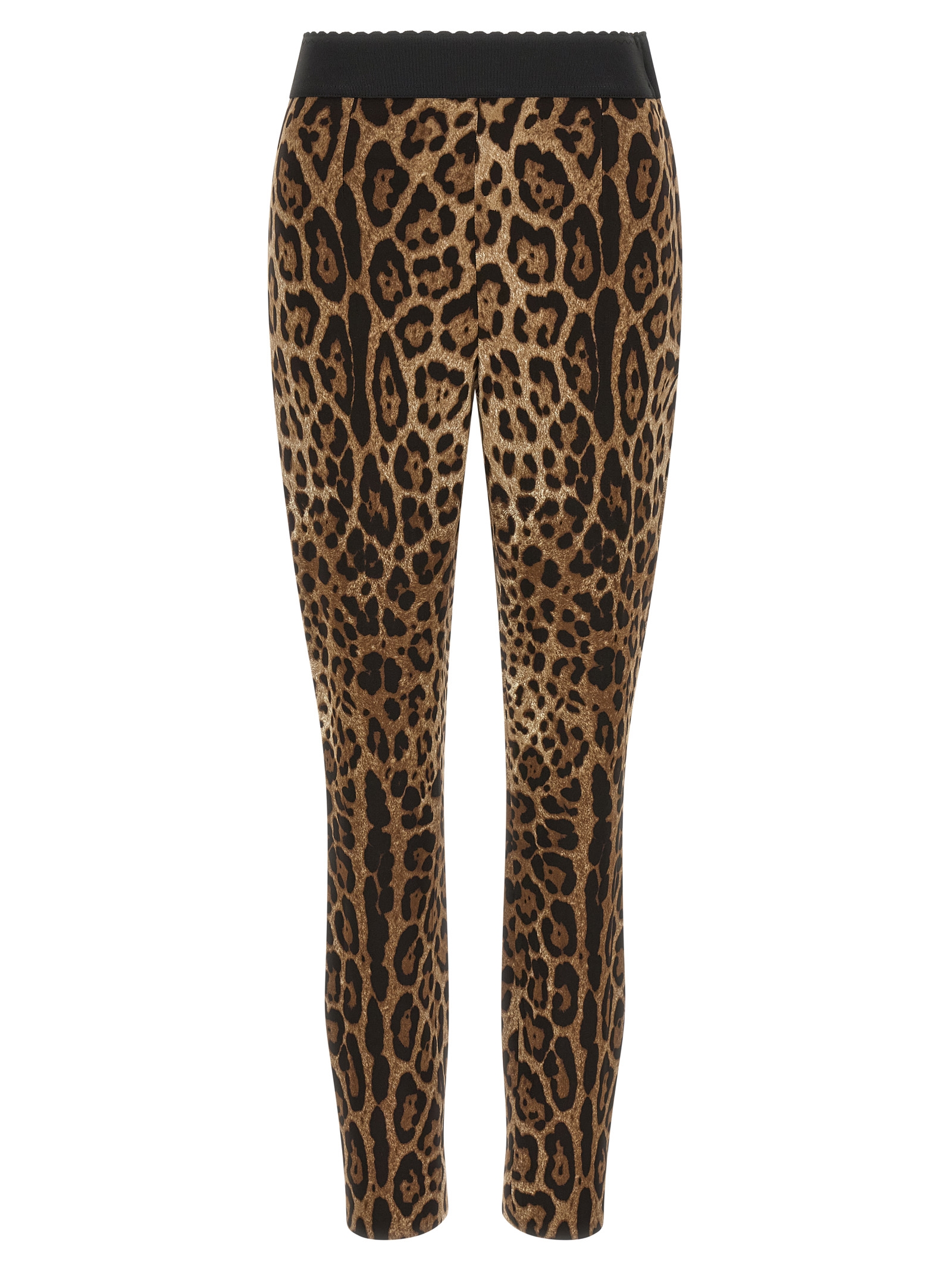 Dolce & Gabbana 'leo' Leggings In Animal Print