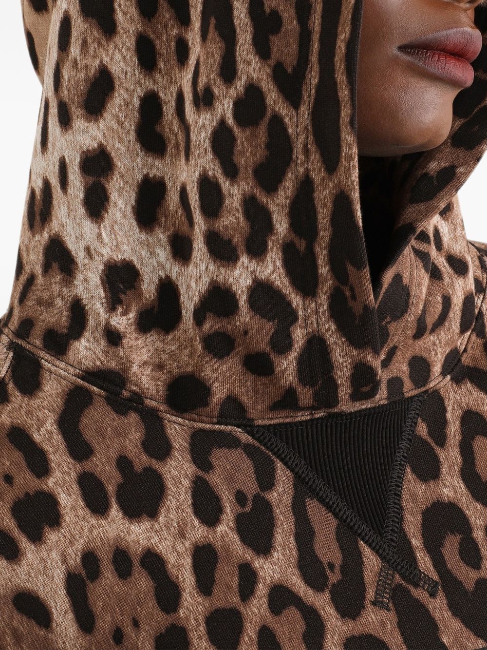 Dolce & Gabbana Leopardprint Pullover Hoodie In Brown