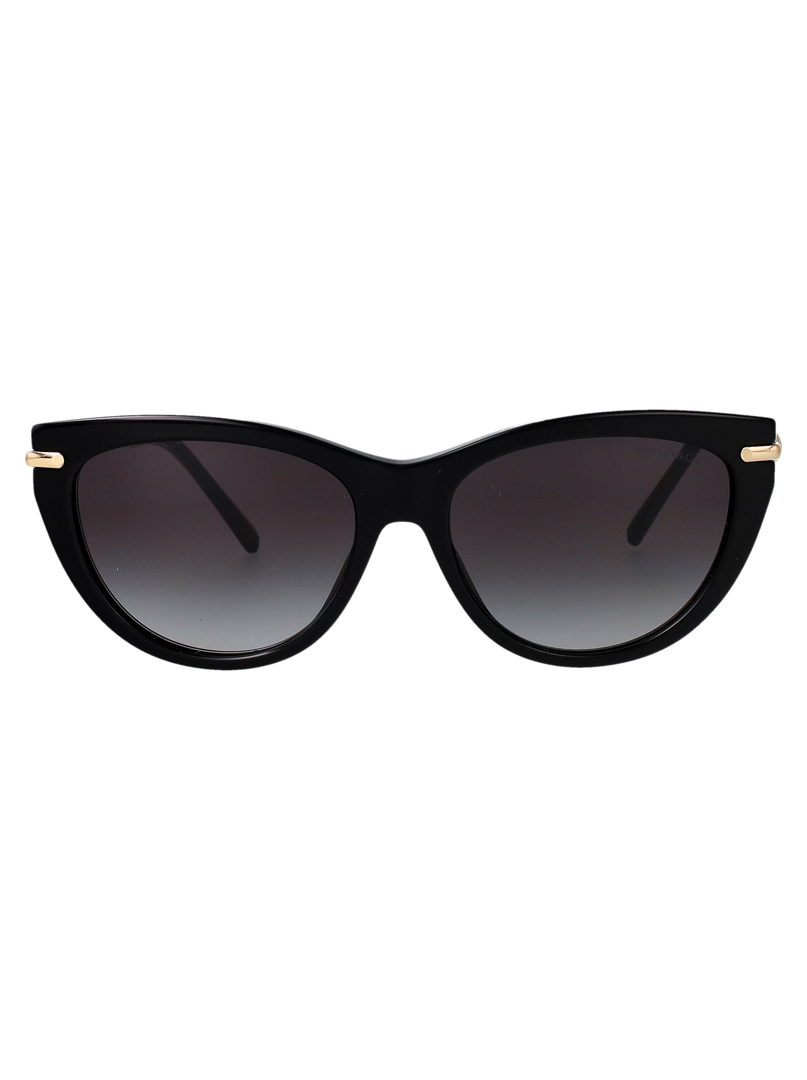 Tiffany & Co Nero Acetate Sunglasses