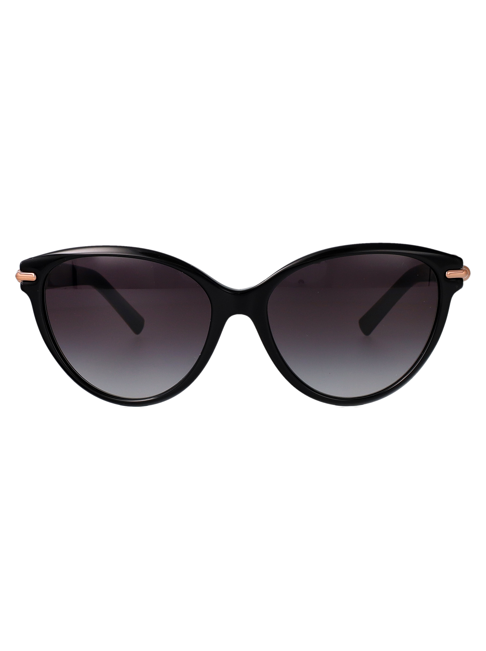 Tiffany & Co Nero Acetate Sunglasses