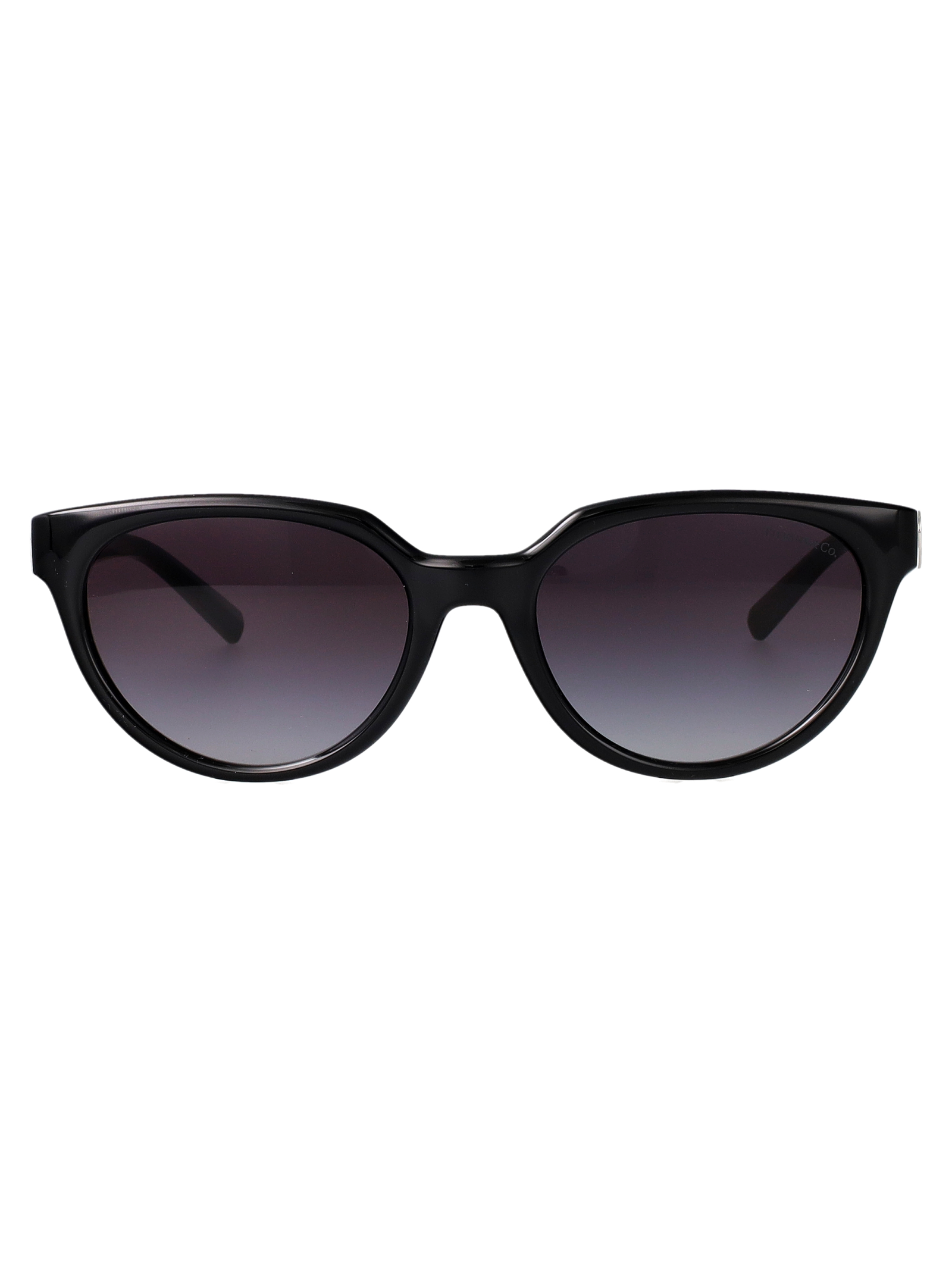 Tiffany & Co Nero Injected Sunglasses