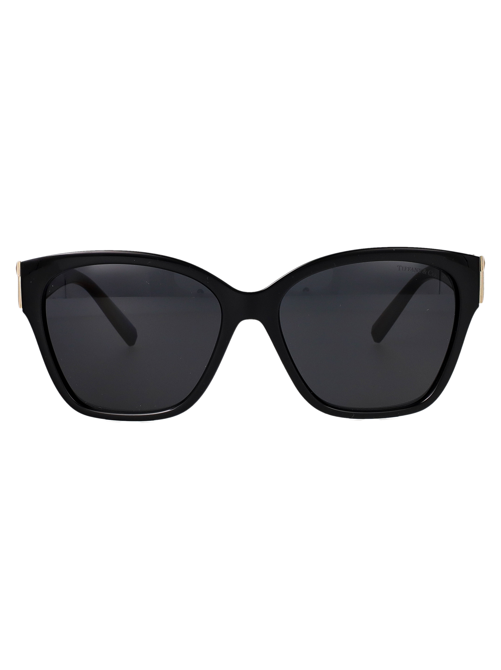 Tiffany & Co Nero Injected Sunglasses