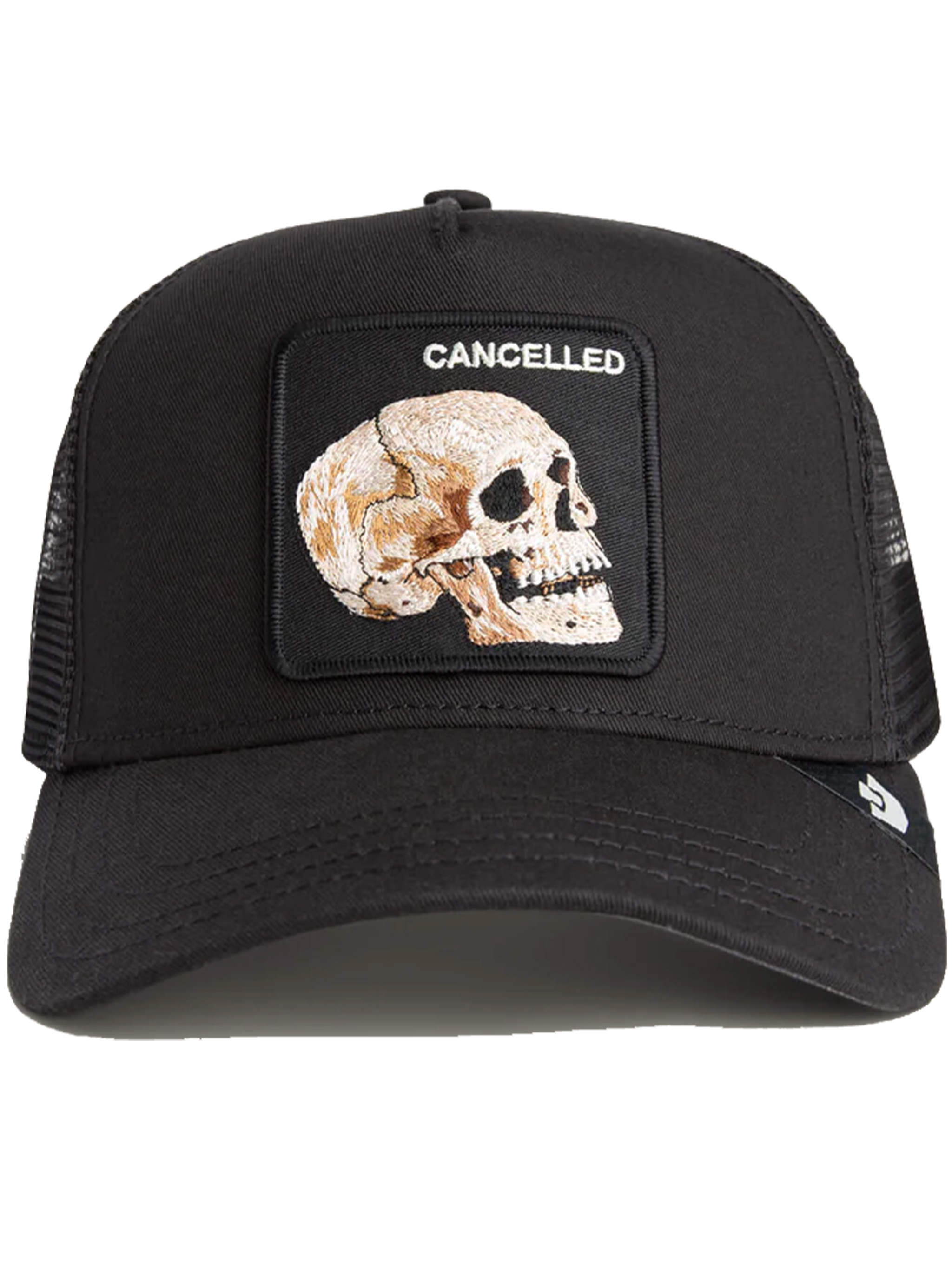 The Cancelled Skull